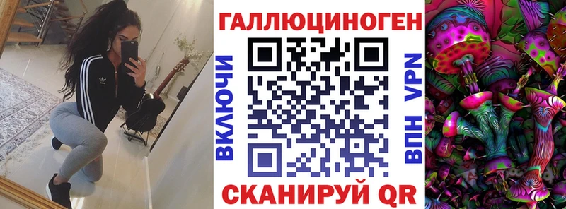 площадка как зайти Фёдоровский Галлюциногенные грибы Psilocybine cubensis